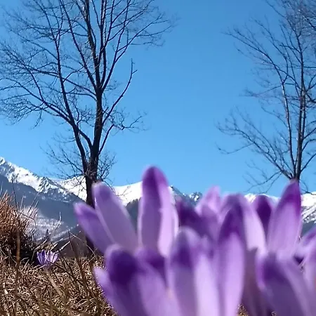 Akuratny * Zakopane