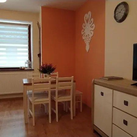 Apartment Apartament Akuratny Zakopane